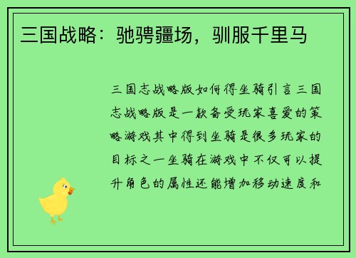 三国战略：驰骋疆场，驯服千里马